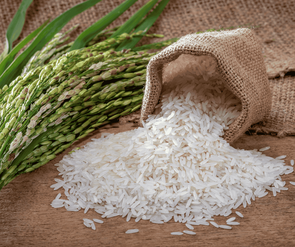 Arroces Vinaròs 2025 – Jornadas gastronómicas con menús especiales en noviembre
