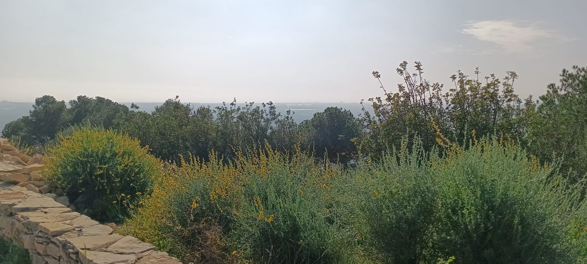 Vistas del yacimiento íbero del Puig de la Misericordia en Vinaròs,foto tomada el 17 02 205 desde el Puig de Vinaroz