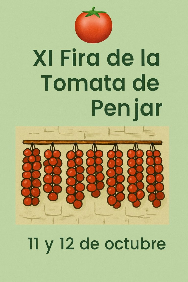 Tomates de colgar en ristras sobre pared de piedra, típicos de Alcalà de Xivert, durante la Feria de el Tomate de Penjar.