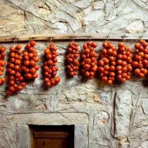 Racimos del Tomate de Penjar deAlcalà de Xivert colgados en una pared de piedra, tradición del Baix Maestrat.